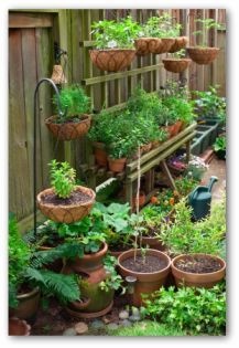 small-garden-vegetable-ideas-32_9 Малки градински зеленчукови идеи