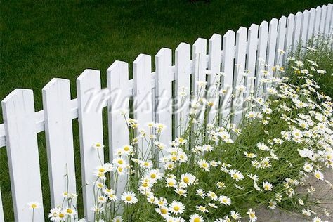 small-picket-fence-for-garden-83_10 Малка ограда за градината