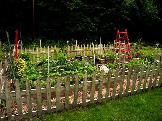 small-white-picket-fence-for-garden-43_4 Малка бяла ограда за градина