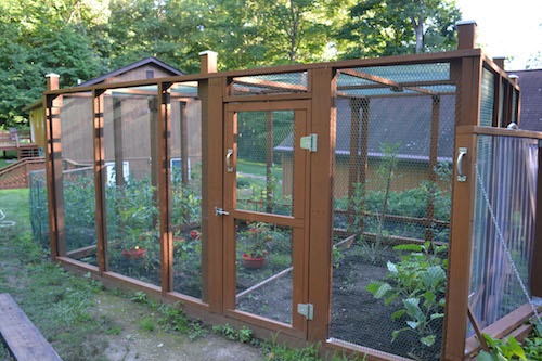 vegetable-garden-enclosure-37_10 Зеленчукова градина заграждение
