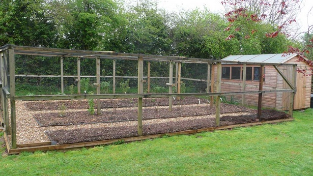 vegetable-garden-enclosure-37_16 Зеленчукова градина заграждение