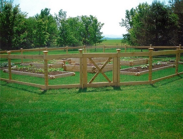 vegetable-garden-fence-design-47_17 Зеленчукова градина ограда дизайн