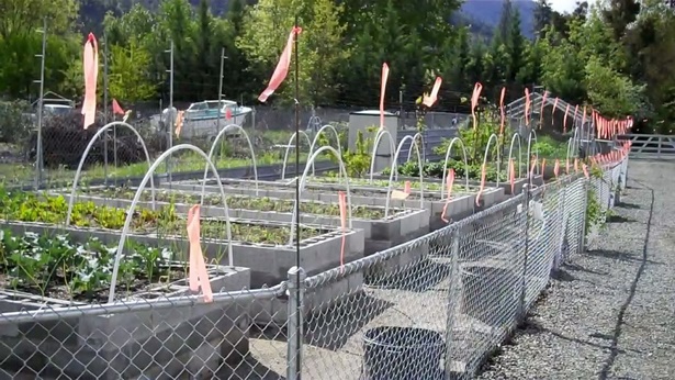 vegetable-garden-fence-ideas-20_10 Зеленчукова градина ограда идеи