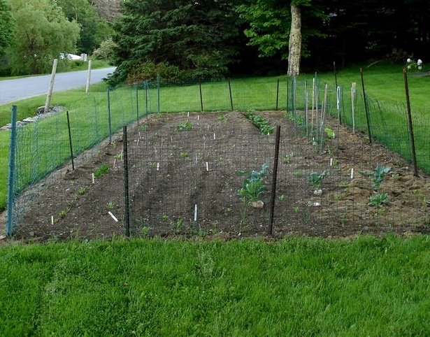 vegetable-garden-fence-ideas-20_13 Зеленчукова градина ограда идеи