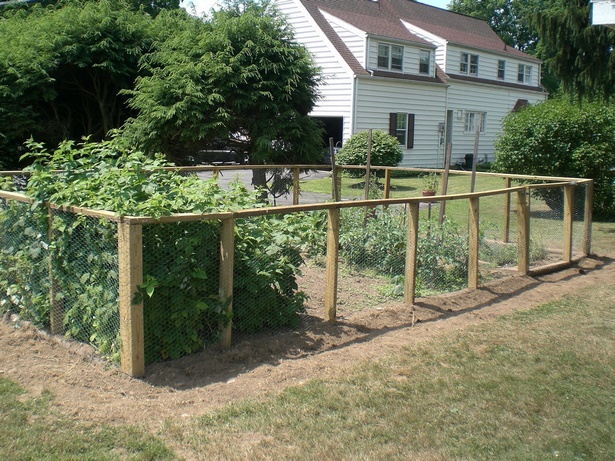 vegetable-garden-fence-ideas-20_16 Зеленчукова градина ограда идеи