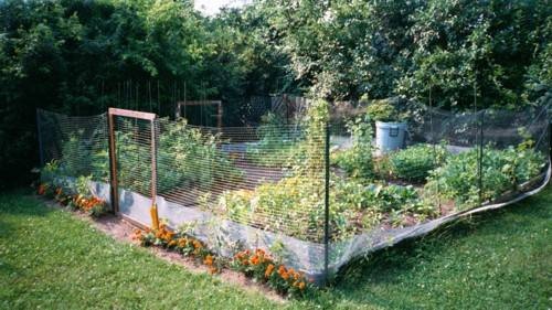 vegetable-garden-fencing-ideas-87_16 Зеленчукова градина фехтовка идеи