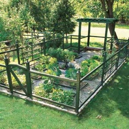vegetable-garden-fencing-ideas-87_2 Зеленчукова градина фехтовка идеи