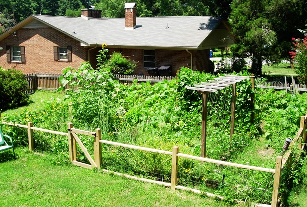 vegetable-garden-fencing-42_5 Зеленчукова градина Огради