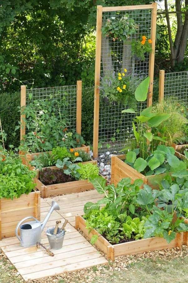 veggie-garden-ideas-small-gardens-26_2 Идеи за зеленчукова градина малки градини