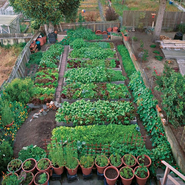 veggie-garden-ideas-small-gardens-26_20 Идеи за зеленчукова градина малки градини