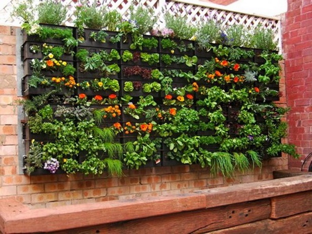 veggie-garden-ideas-small-gardens-26_6 Идеи за зеленчукова градина малки градини
