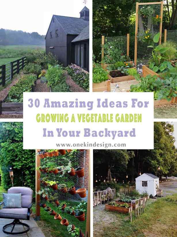 backyard-garden-plants-ideas-38_13 Задния двор градински растения идеи