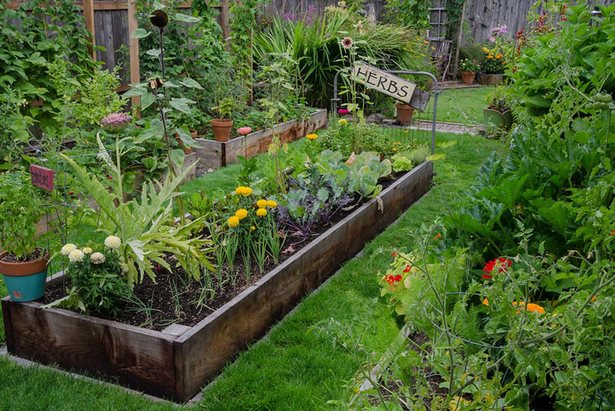 backyard-garden-plants-ideas-38_14 Задния двор градински растения идеи