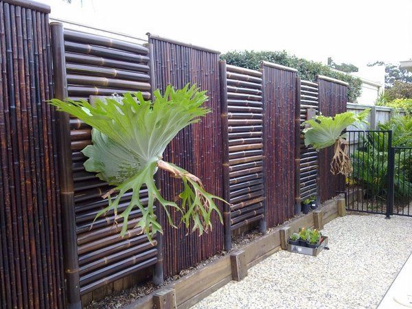 bamboo-fence-screening-ideas-96 Бамбук ограда скрининг идеи