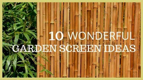 bamboo-garden-screen-ideas-19_15 Бамбук градина екран идеи