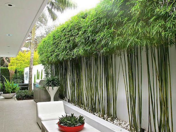 bamboo-garden-screen-ideas-19_2 Бамбук градина екран идеи
