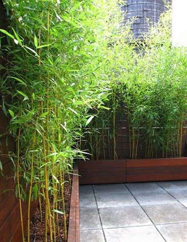 bamboo-garden-screen-ideas-19_5 Бамбук градина екран идеи