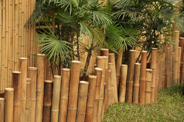 bamboo-privacy-fence-ideas-37_15 Бамбук уединение ограда идеи