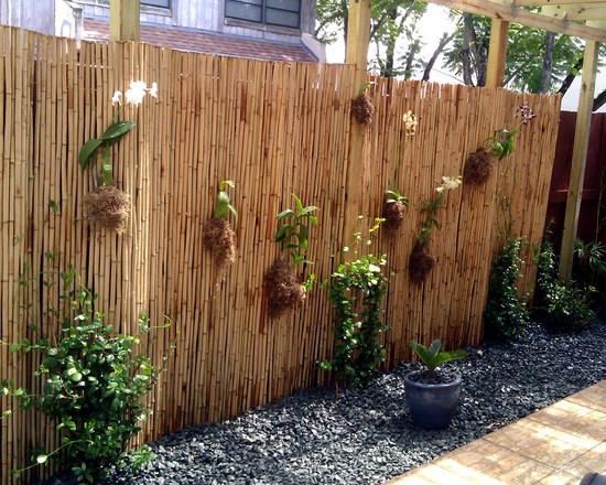 bamboo-privacy-fence-ideas-37_16 Бамбук уединение ограда идеи