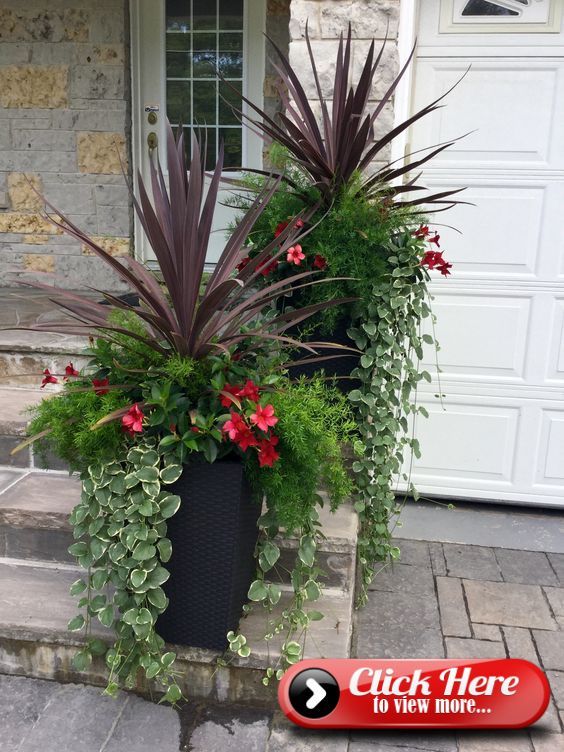 beautiful-outdoor-potted-plants-26_8 Красиви външни саксийни растения