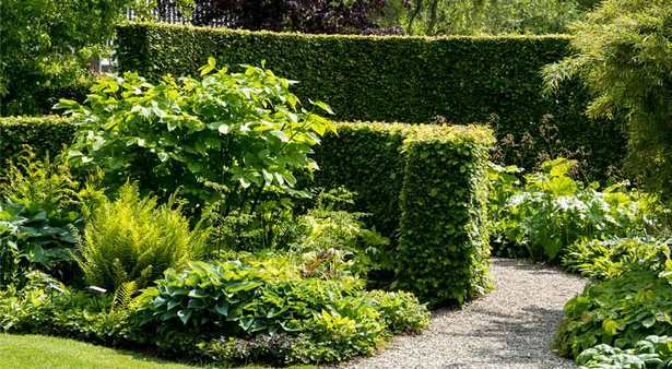 best-garden-screening-for-privacy-28_10 Най-добрият градински скрининг за поверителност