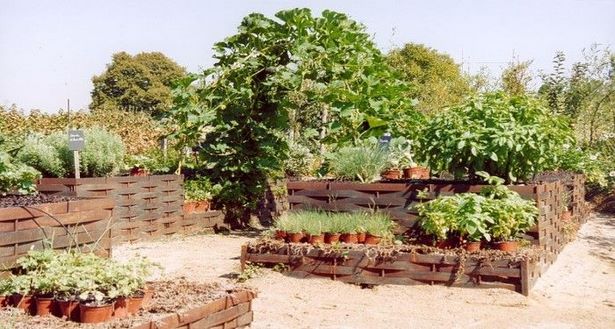 brick-raised-garden-beds-95_14 Тухлени повдигнати градински легла