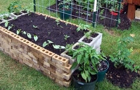 brick-raised-garden-beds-95_17 Тухлени повдигнати градински легла