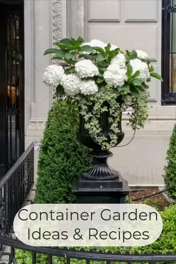 container-garden-recipes-15_13 Контейнер градински рецепти