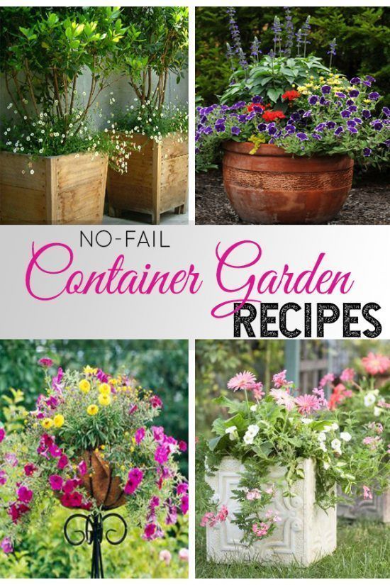 container-garden-recipes-15_3 Контейнер градински рецепти