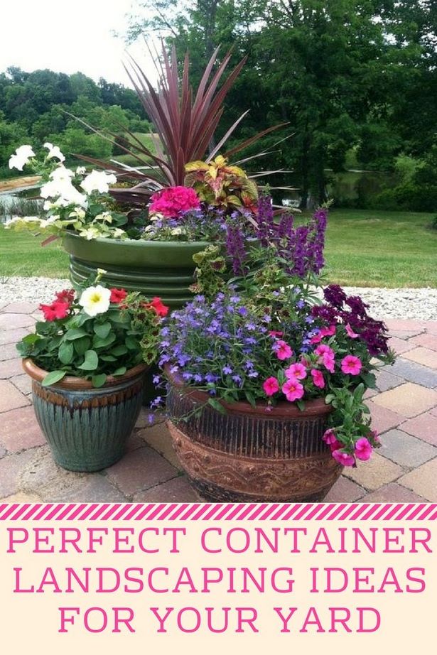 container-gardening-designs-pictures-58_16 Контейнер градинарство дизайни снимки