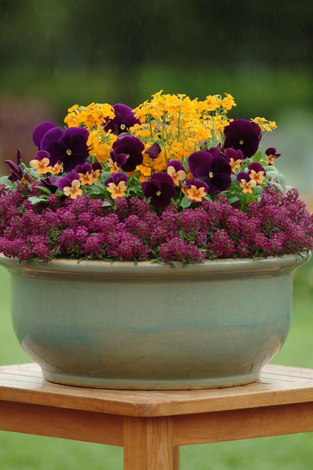 container-gardening-flowers-photos-90 Контейнер градинарство цветя снимки