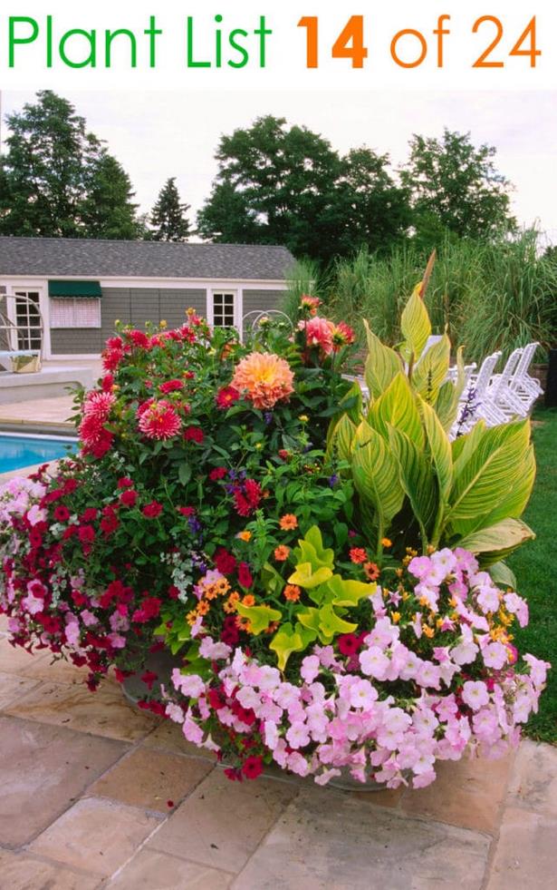 container-gardening-flowers-photos-90_17 Контейнер градинарство цветя снимки