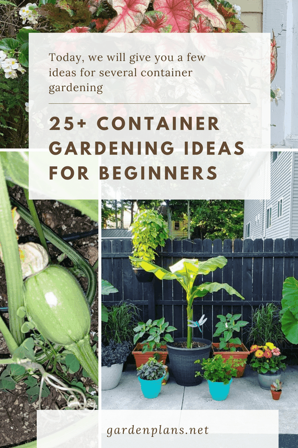 container-gardening-ideas-for-beginners-61 Контейнер градинарство идеи за начинаещи