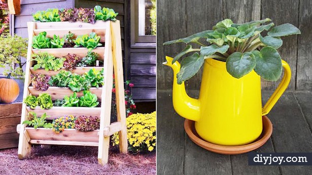 container-gardening-ideas-for-beginners-61_11 Контейнер градинарство идеи за начинаещи