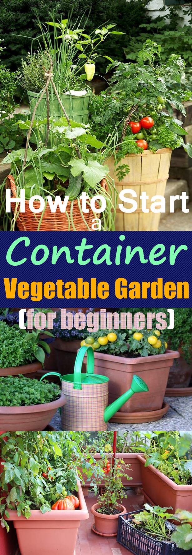 container-gardening-ideas-for-beginners-61_12 Контейнер градинарство идеи за начинаещи