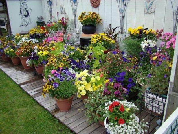 container-gardening-ideas-for-beginners-61_13 Контейнер градинарство идеи за начинаещи