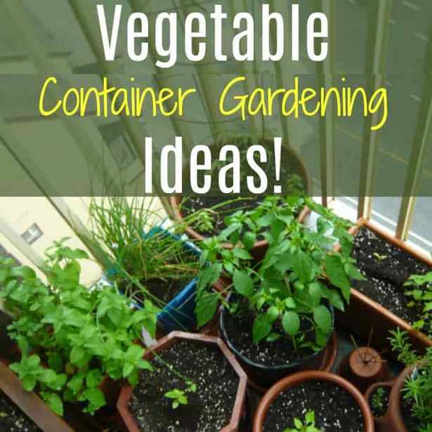 container-gardening-ideas-for-beginners-61_5 Контейнер градинарство идеи за начинаещи