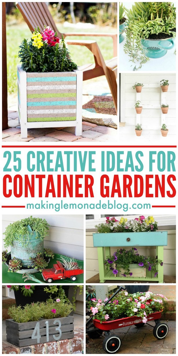 container-gardening-ideas-pictures-12 Контейнер градинарство идеи снимки