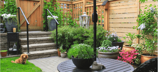 cool-ideas-for-your-garden-12 Страхотни идеи за вашата градина