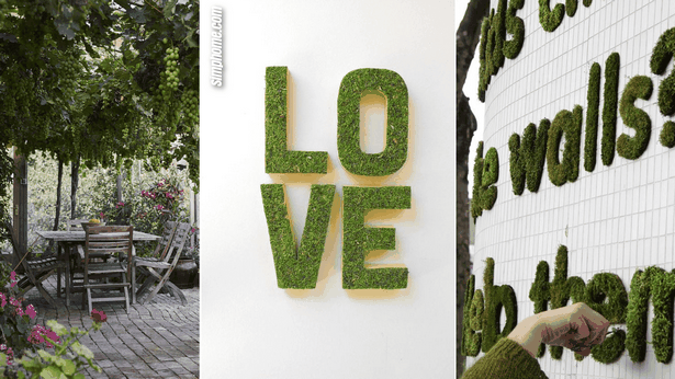 creative-ideas-for-home-and-garden-78 Творчески идеи за дома и градината