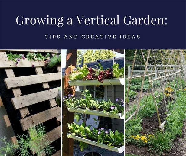 creative-ideas-for-home-and-garden-78_16 Творчески идеи за дома и градината