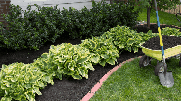 edging-ideas-for-garden-beds-44_2 Кант идеи за градински легла