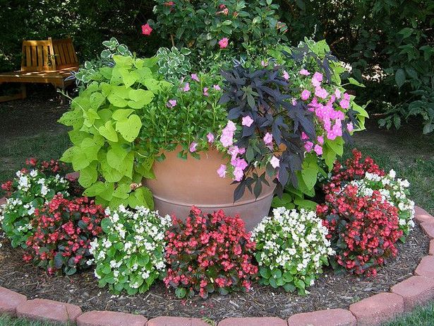 flower-beds-with-potted-plants-60 Цветни лехи със саксийни растения