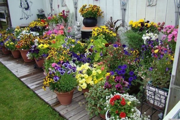 flower-beds-with-potted-plants-60_10 Цветни лехи със саксийни растения