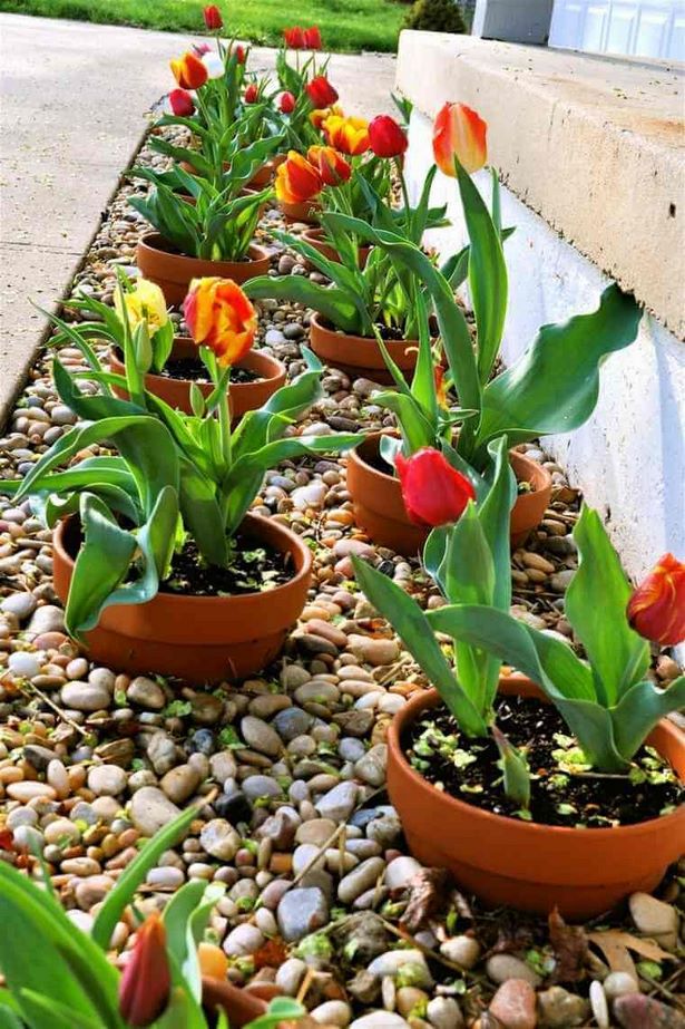 flower-beds-with-potted-plants-60_3 Цветни лехи със саксийни растения