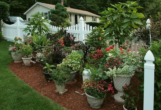 flower-beds-with-potted-plants-60_7 Цветни лехи със саксийни растения