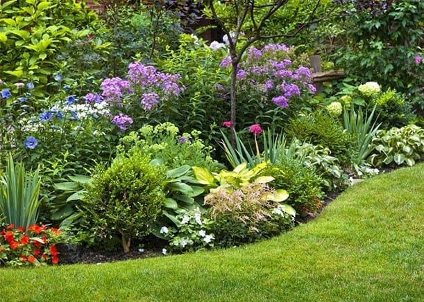 flower-borders-for-small-gardens-47_11 Цветни граници за малки градини