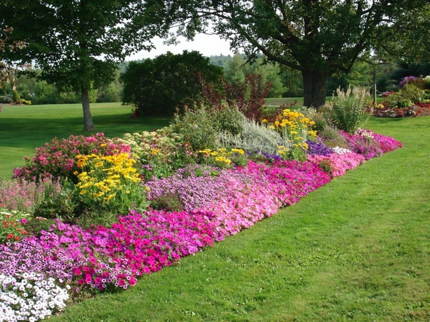 flower-borders-for-small-gardens-47_13 Цветни граници за малки градини