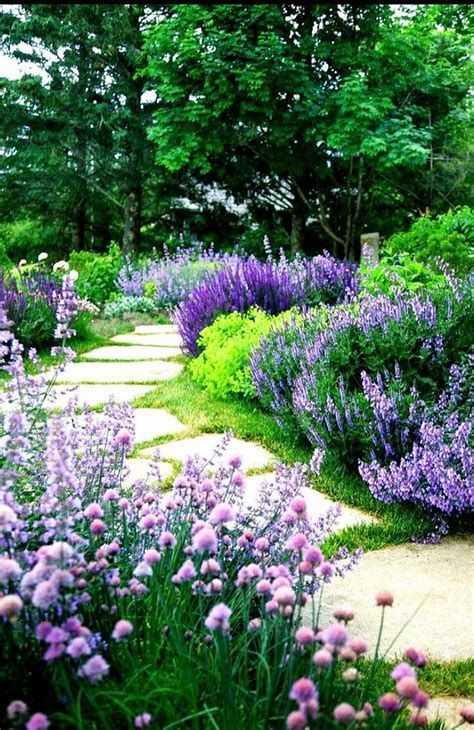 flower-borders-for-small-gardens-47_17 Цветни граници за малки градини