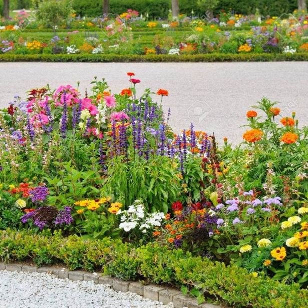 flower-borders-for-small-gardens-47_8 Цветни граници за малки градини